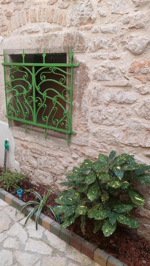 Studio With Garden In Rovinj Extérieur photo